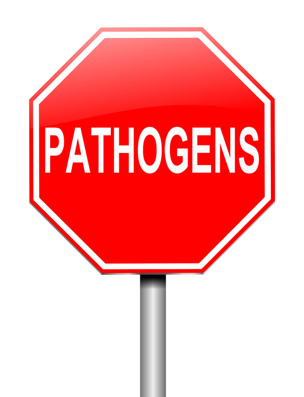 Stop sign that says Pathogens